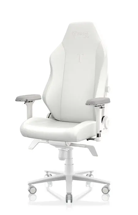 Secretlab Titan Evo Xl Gaming Chair – Nanogen Hybrid Leatherette (Model 0108) 1